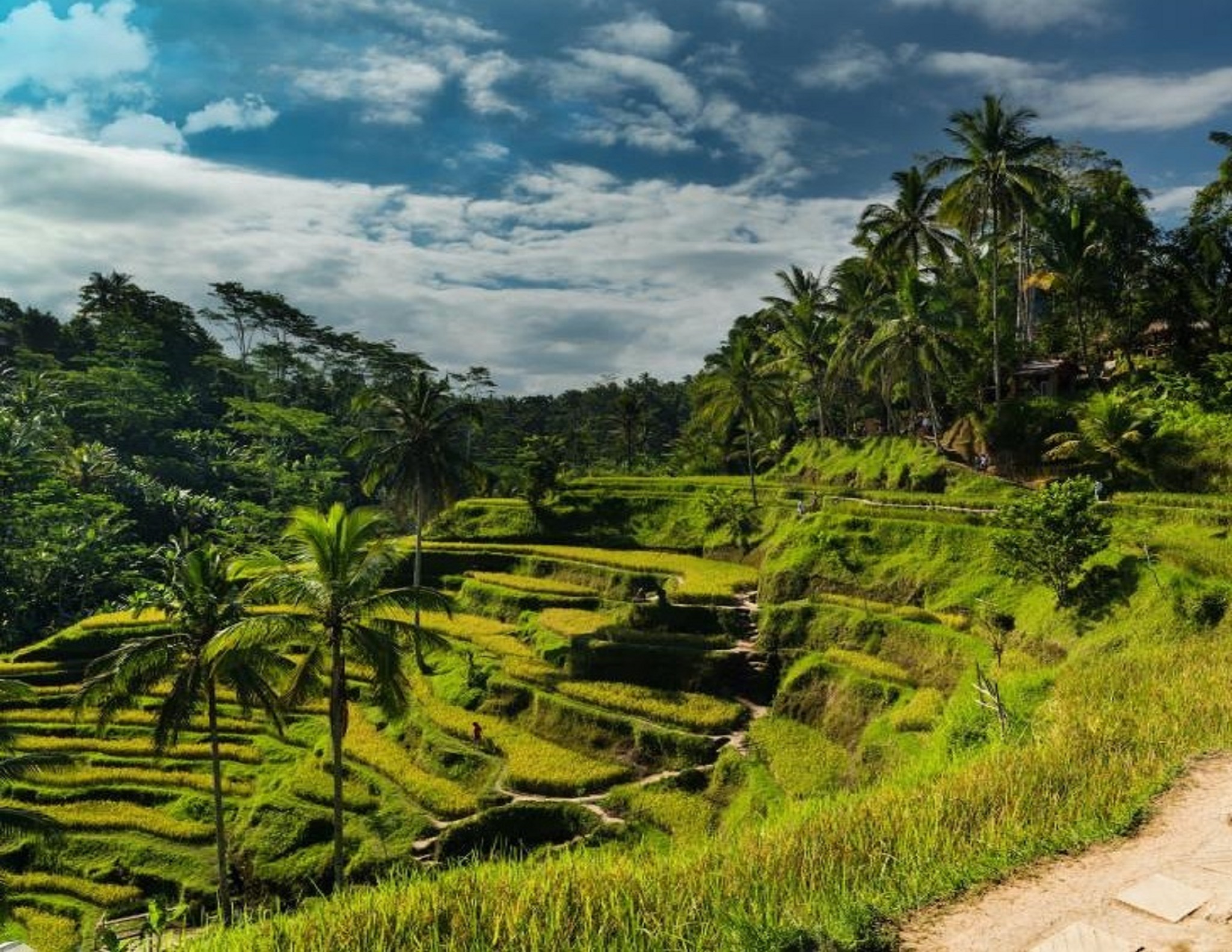 Bali